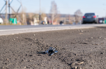 Lost bunch of keys lying on the side of the road near the asphalt pavement of the roadway