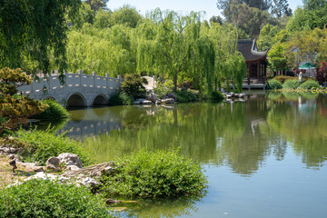 Fototapeta na wymiar bridge over pond in the garden