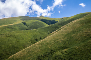scenic landscape hill in Iraty mountains in summertime blue sky , basque country, france