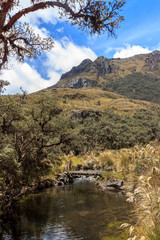 panoramic landscape of cajas national park, ecuador