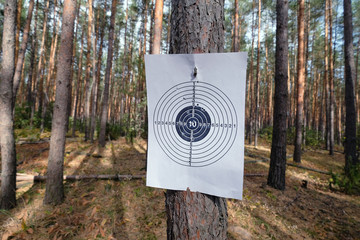 target for shooting outdoors
