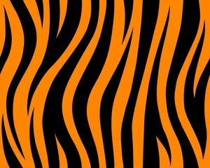  Dierlijke safari abstracte huid oranje en zwart naadloos patroon herhaald. Vector jungle strook © dzmitry