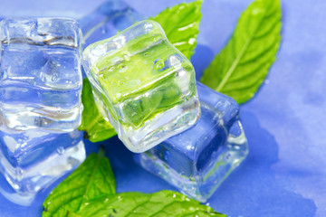 Ice with mint on light background. Ice cubes and mint leaves isolated on blue background 