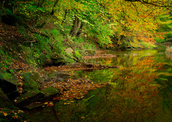 Autumn river scene
