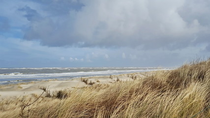 Strand, Dünen, Meer, Wolken und Wind 