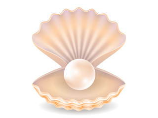 shell with a pearl. isolated image. realistic style. vector illustration.