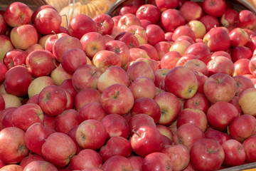 Apple baskets in autumn sunshine, closeup, colourful, bright, happy, thanksgiving.