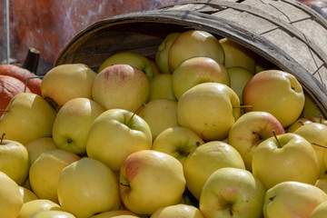 Apple baskets in autumn sunshine, closeup, colourful, bright, happy, thanksgiving.