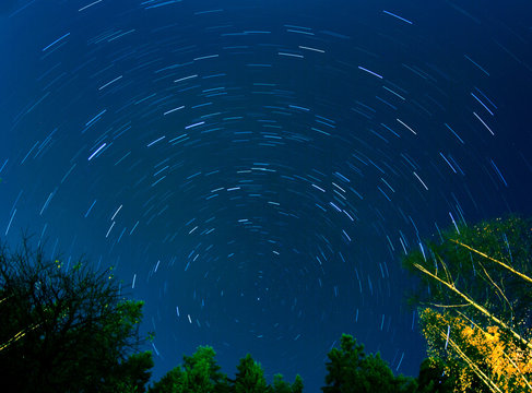 Startrail night sky forest silhouette