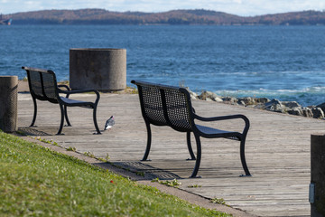 a sad empty bench on the boardwalk in Dartmouth nova scotia want you to purchase it for your next project.