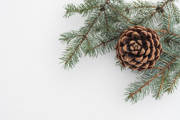 Fir tree branch with pine cone on white snow. Christmas background