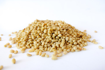 Pine nuts isolated