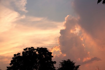 Fototapeta na wymiar Clouds and tree