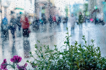 Raindrops on window glass, blurred unrecognizable people walk on road in rainy day. View from the window on city street. Concept of modern city, walking, lifestyle