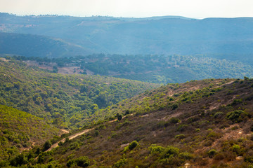 Fototapeta premium The green hills of mount Carmel