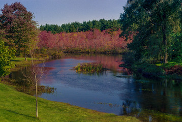Fototapeta na wymiar Colorful New England fall foliage reflected in pond