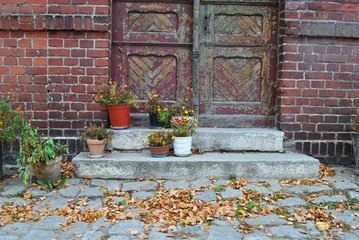 Fototapety na wymiar - Fototapeta24.pl