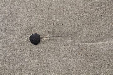 Fototapeta na wymiar Modell einer Samenzelle - feuchter Stein am Sandstrand