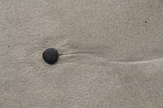 Modell einer Samenzelle - feuchter Stein am Sandstrand