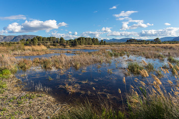 Albufera de Gaianes, Alicante