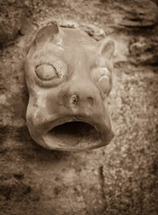 Fototapeta na wymiar Old ceramic downspout in shape of beast head against stone wall. France. Closeup. Sepia.