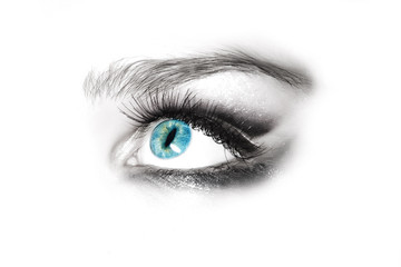 Obraz premium Beautiful female eye