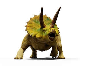 Triceratops horridus dinosaur, extinct prehistoric animal (3d render isolated with shadow on white background)