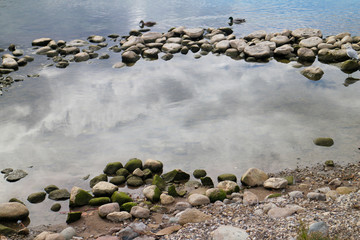 Obraz premium Oasis with ducks