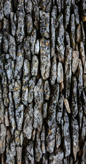 Dry stone wall background. 