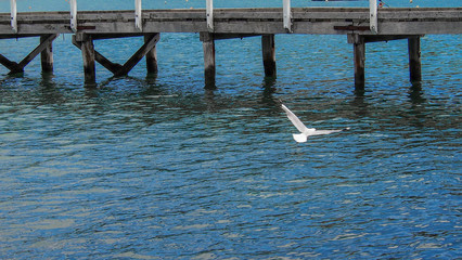 Akaroa Town, Canterbury, South Island, New Zealand