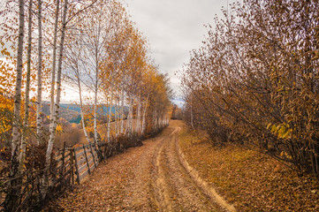 Naklejka premium Simple winding country path in autumn