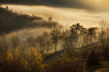 Misty autumn landscape in Romania