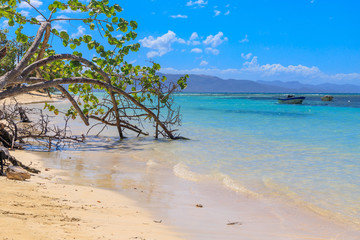Caribbean beach with fishing boats at Playa la Ensenada, Dominican Republic