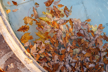 Fallen different colourful leaves floating in swimming pool water (fountain), top view. Autumn time, foliage concept