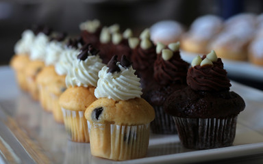 vanilla and chocolate cup cakes
