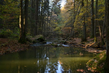 Fototapeta na wymiar River in the autumn forest