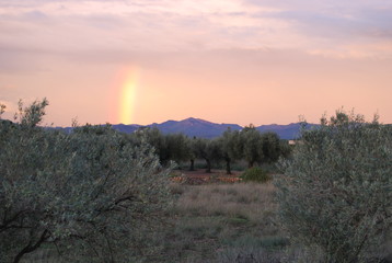 Rainbow Mountain Landscape