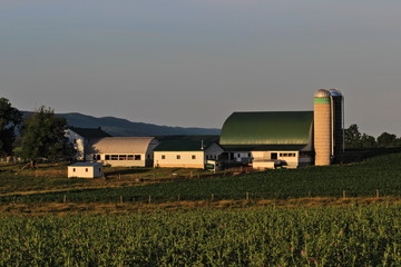 Fototapeta na wymiar A color image of a amish farm in Big Valley, near Belleville, Pennsylvania.