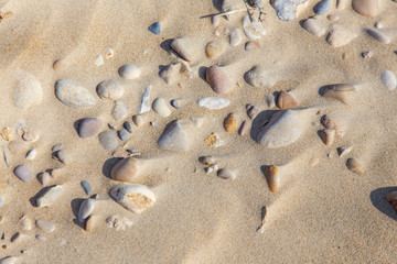 stones in the sand on the beach