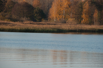 Natural landscape -  the fishing place