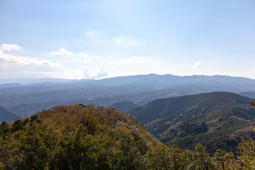 戦場ヶ原　長野　山梨　北海道　美瑛　高山　新潟　美しい　日本　男女　徒歩	伊豆