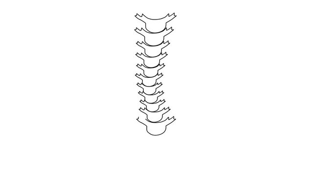 Animated sketch vector drawing doodle of spine with curvature scoliosis drawn in black changes to color illustration