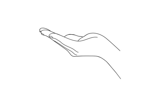 Animated sketch vector drawing doodle hand shape open palm facing up drawn in black