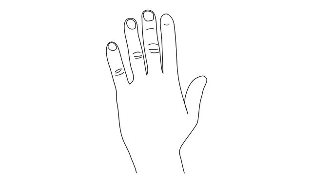 Animated sketch vector drawing doodle hand shape open palm halt high five stop calm down drawn in black 