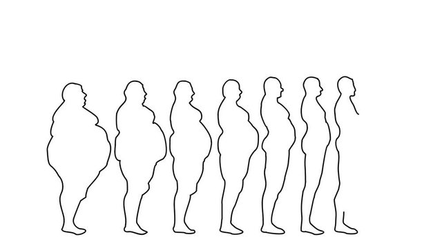 Animated sketch vector self drawing doodle progressive timeline silhouette of mans weight loss progress from obese to slender drawn in black changes to color illustration
