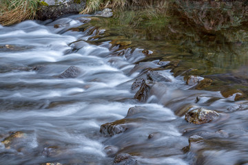 stream in forest