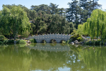 Fototapeta na wymiar bridge over pond in park