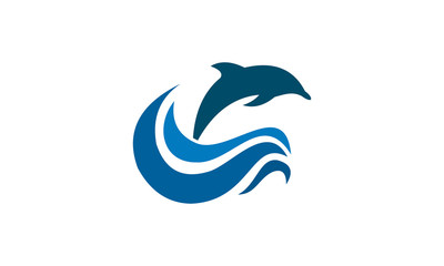 attractive dolphine in the sea