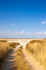 The roads of Kinburn, road in prairies.