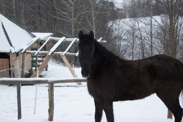 siedliska © Grzegorz